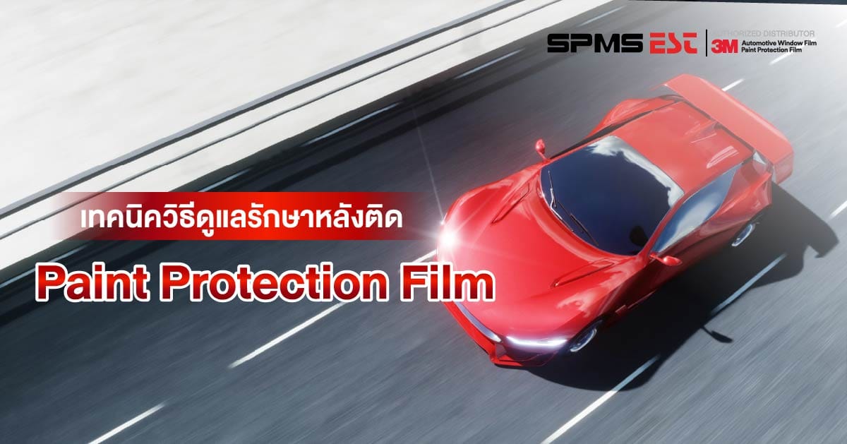 Paint Protection Film คืออะไร ปกป้องสีรถให้สวยนานเหมือนใหม่! - SPMS-EST ...