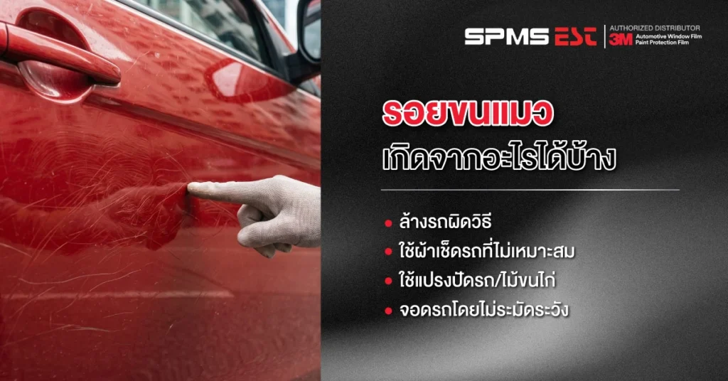รอยขนแมวเกิดจากอะไรได้บ้าง